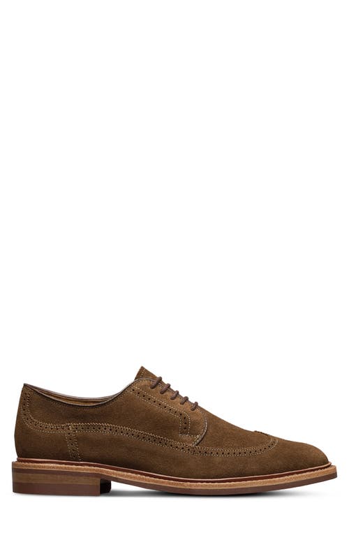 Allen Edmonds Winston Wingtip Brogue Derby In Snuff