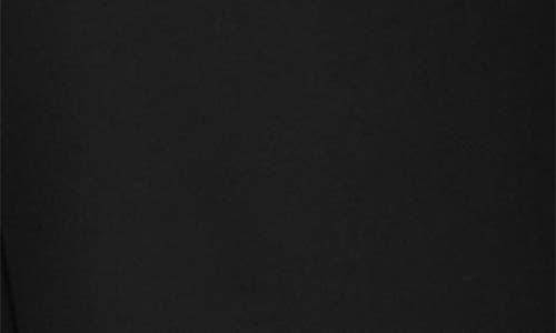 Eileen Fisher High Waist Wide Leg Pants In Black