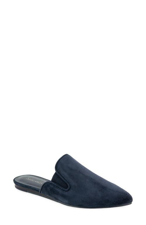 Splendid Liza Pointed Toe Mule in Navy at Nordstrom, Size 6