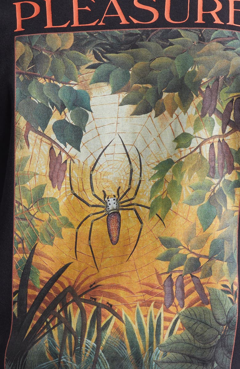 ENDLESS JOY Pleasure Garden Heavyweight Organic Cotton Graphic T-Shirt, Alternate, color, 