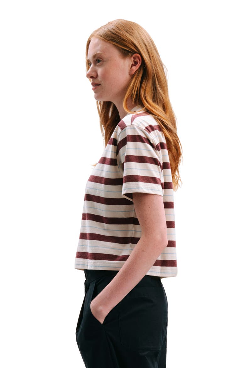 The Recycled Stripe Crop Tee, Alternate, color, Red Stripe