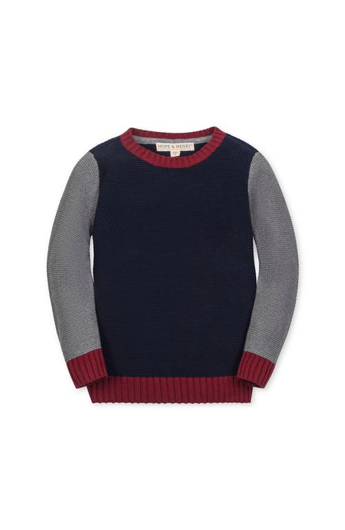 Hope & Henry Kids' Organic Long Sleeve Crewneck Pullover Sweater In Black