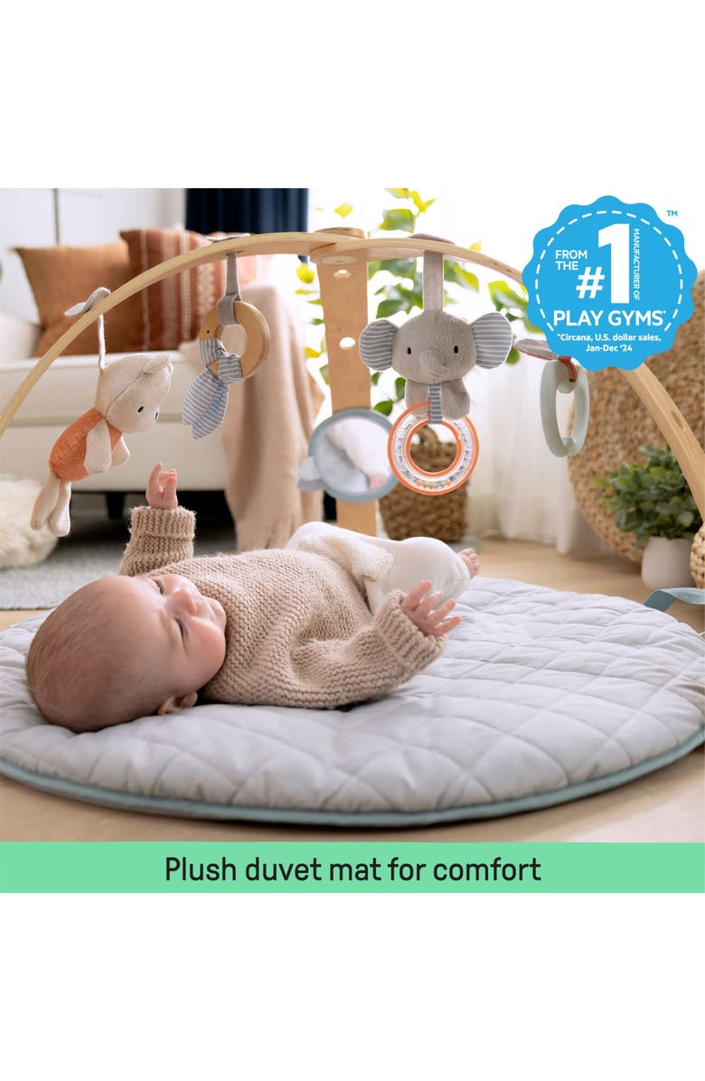 INGENUITY Cozy Spot Duvet Activity Gym with Self-Storage, Alternate, color, Multicolored