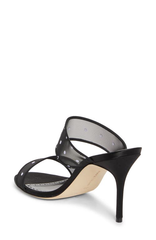 Manolo Blahnik Scoltobi Polka Dot Mesh Sandal