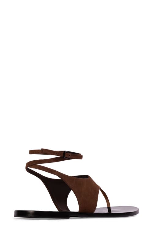 Black Suede Studio Suede Thong Flat Ankle-strap Sandals In Brown Suede