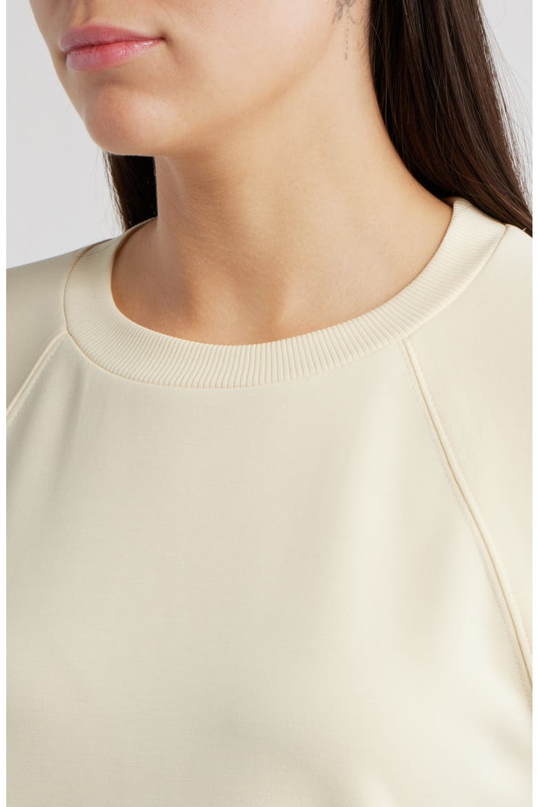 Raglan Sleeve T-Shirt, Alternate, color, PEARL