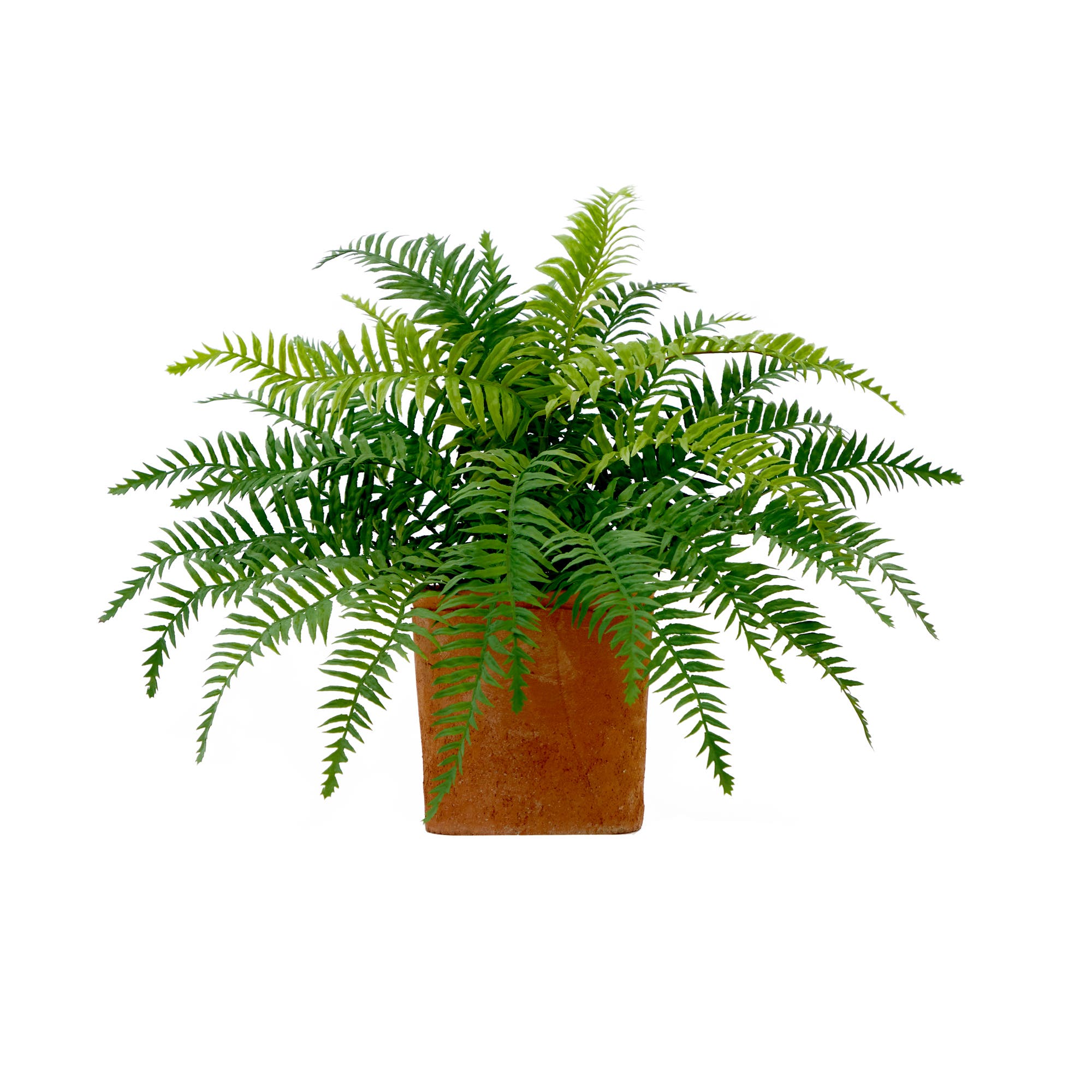 selected Green