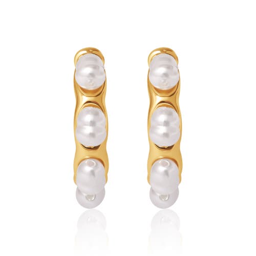 bcbg Pearl Hoop Earrings in Gold 