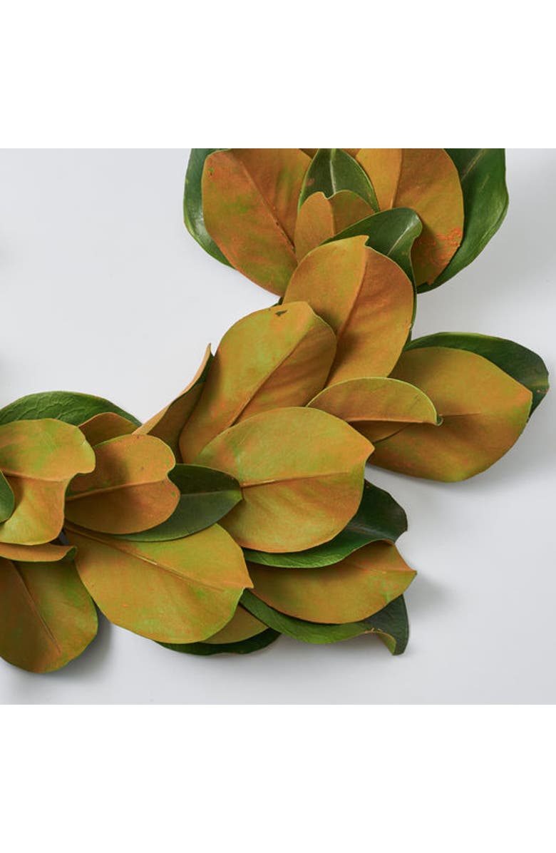 Darby Creek Trading Real Touch Magnolia Leaf All Seasons Outdoor Hanging Front Door Garland, Alternate, color, Green