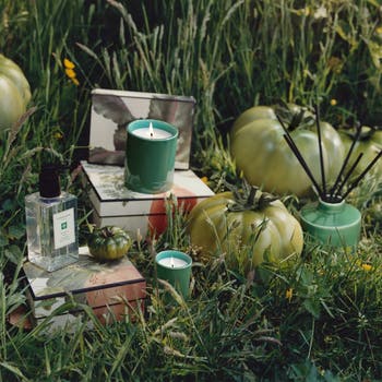 Jo Malone London™ Green Tomato Vine Townhouse Candle | Nordstrom