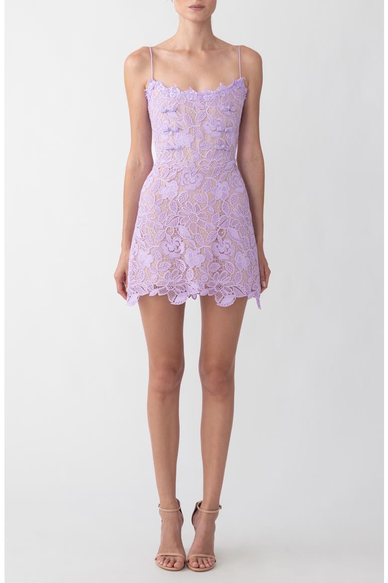 Rory Lace Cocktail Dress, Main, color, LAVENDER