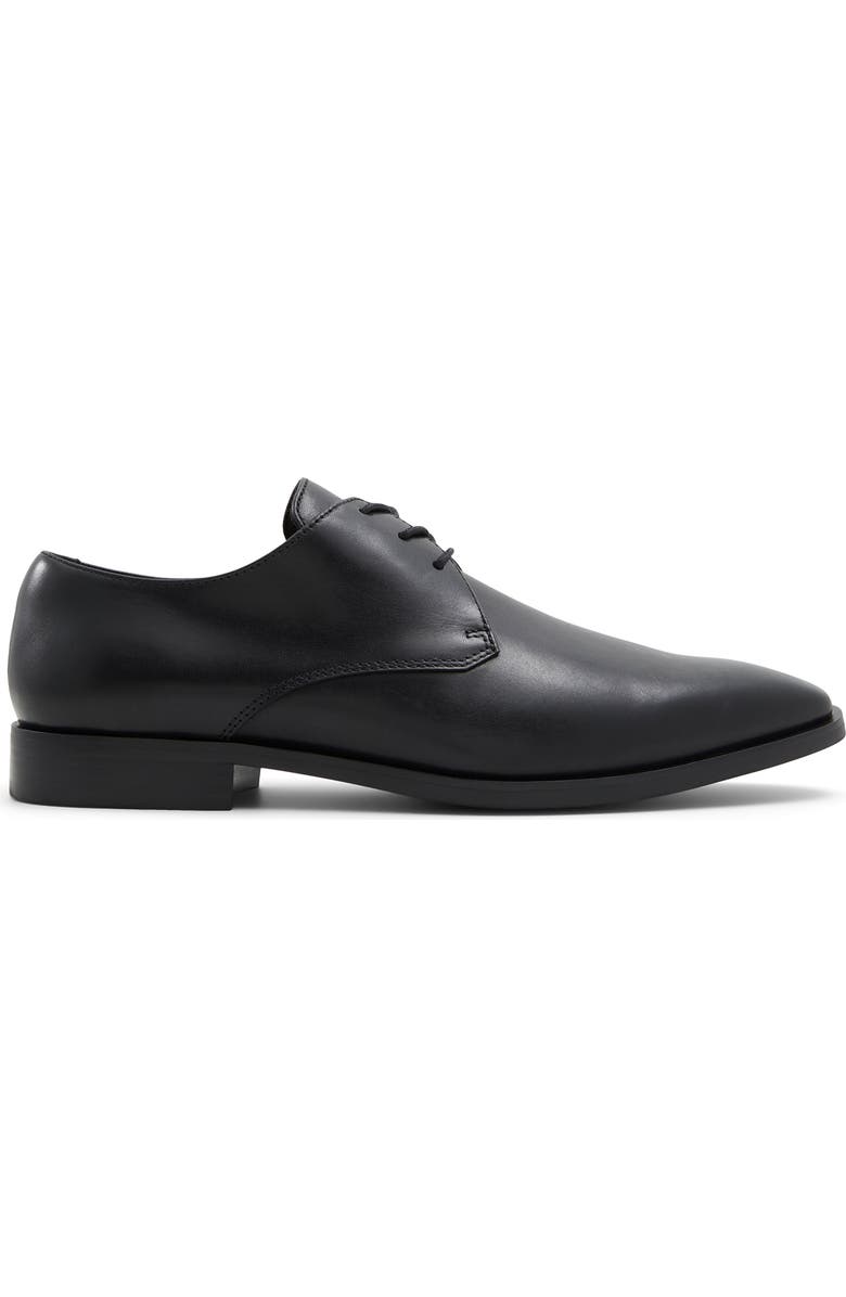 ALDO Mackle Derby, Alternate, color,