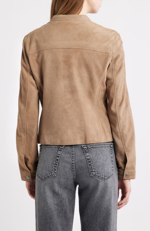 Frye Classic Biker Suede Jacket In Brown