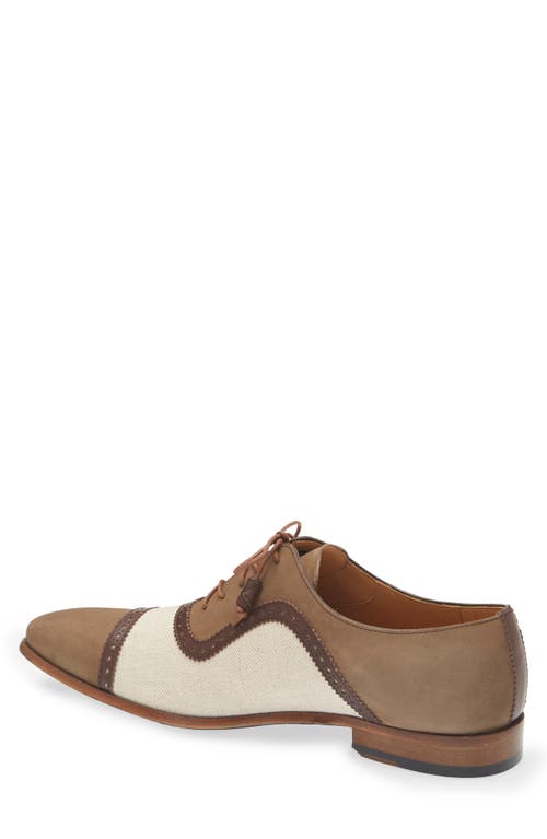 Mezlan Ayna Plain Toe Oxford In Olive Multi