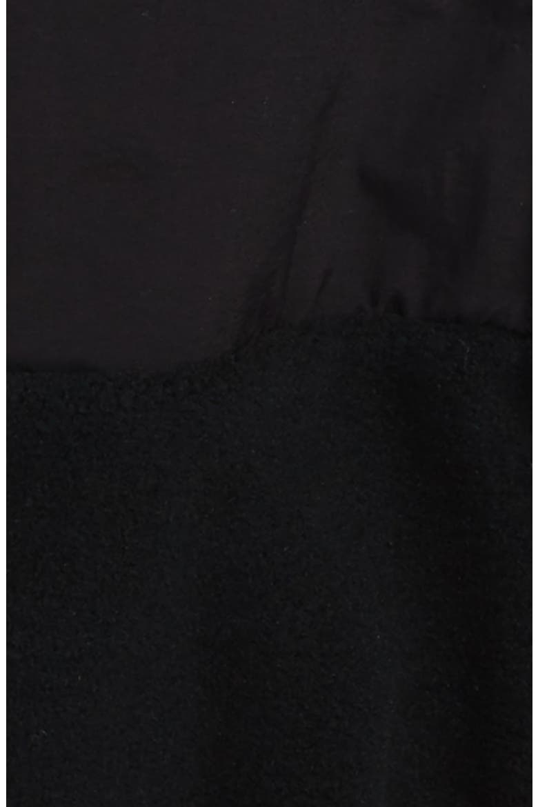 Denali Recycled Fleece Jacket, Alternate, color, TNF BLACK