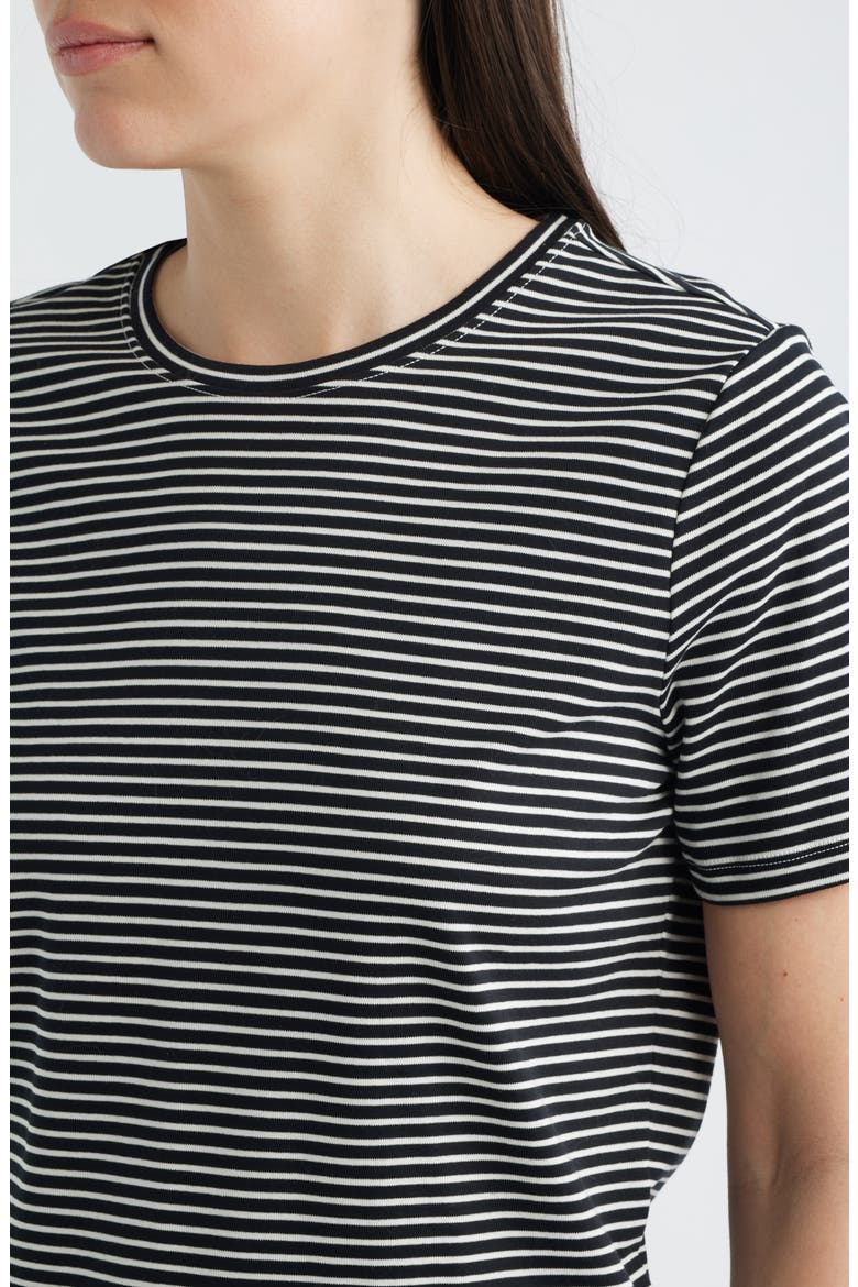 Lightweight Stripe Cotton Crewneck T-Shirt, Alternate, color, MINISHUTTER CB/ L
