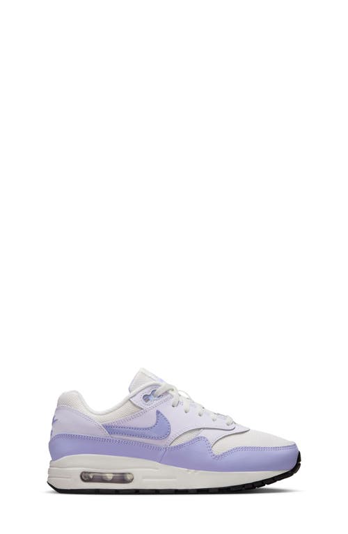 Nike Kids' Air Max 1 Sneaker