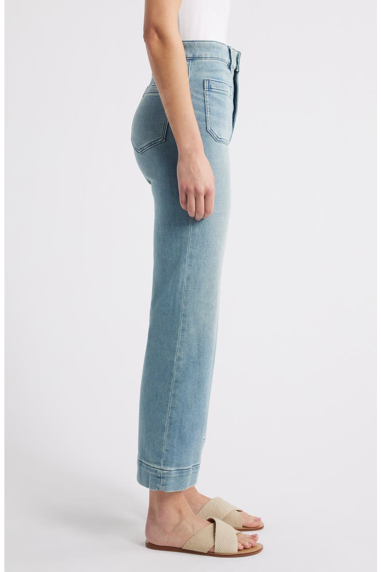 Ankle Length High Waist Stretch Terry Pants, Alternate, color, EASTERN SHORE WASH