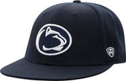 TOP OF THE WORLD Men's Top of the World Navy Penn State Nittany Lions Team Color Fitted Hat