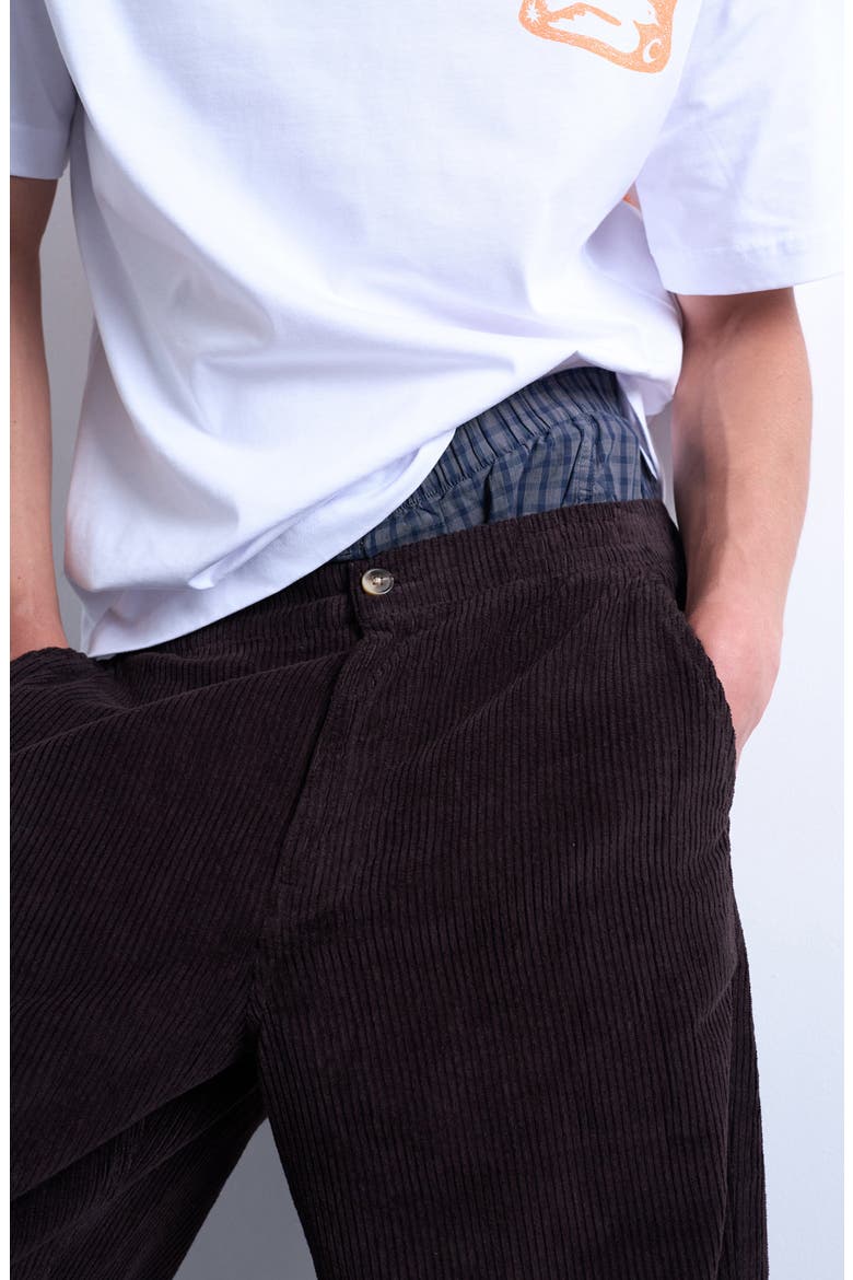Flat Front Tapered Cotton Corduroy Pants, Alternate, color, BROWN