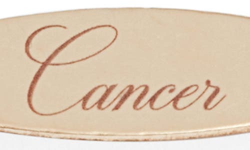 Set & Stones Engraved Zodiac Pendant