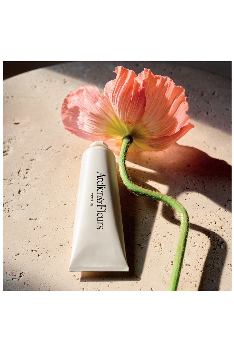 Cedrus Hand Cream, Alternate, color, NO COLOR