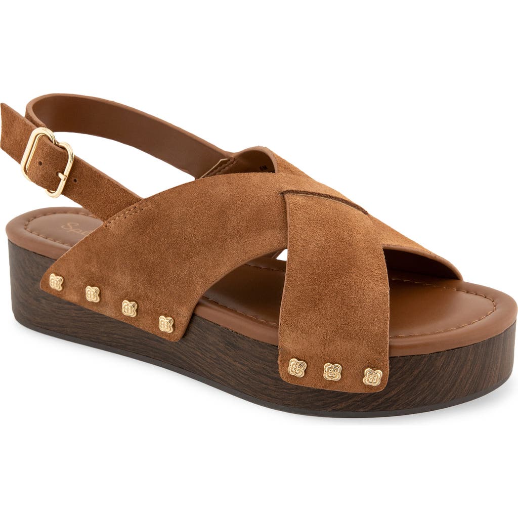 Splendid Quintana Platform Slingback Sandal In Brown