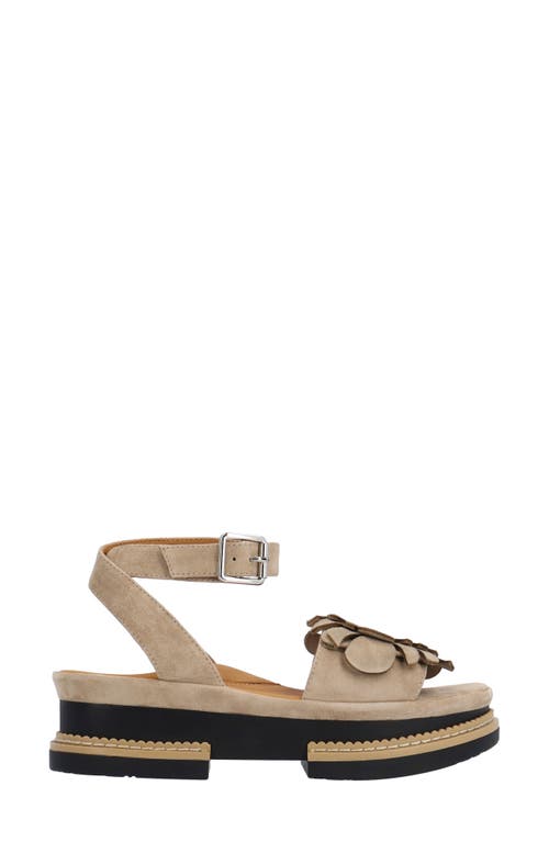 L'amour Des Pieds Alaric Ankle Strap Platform Sandal In Taupe