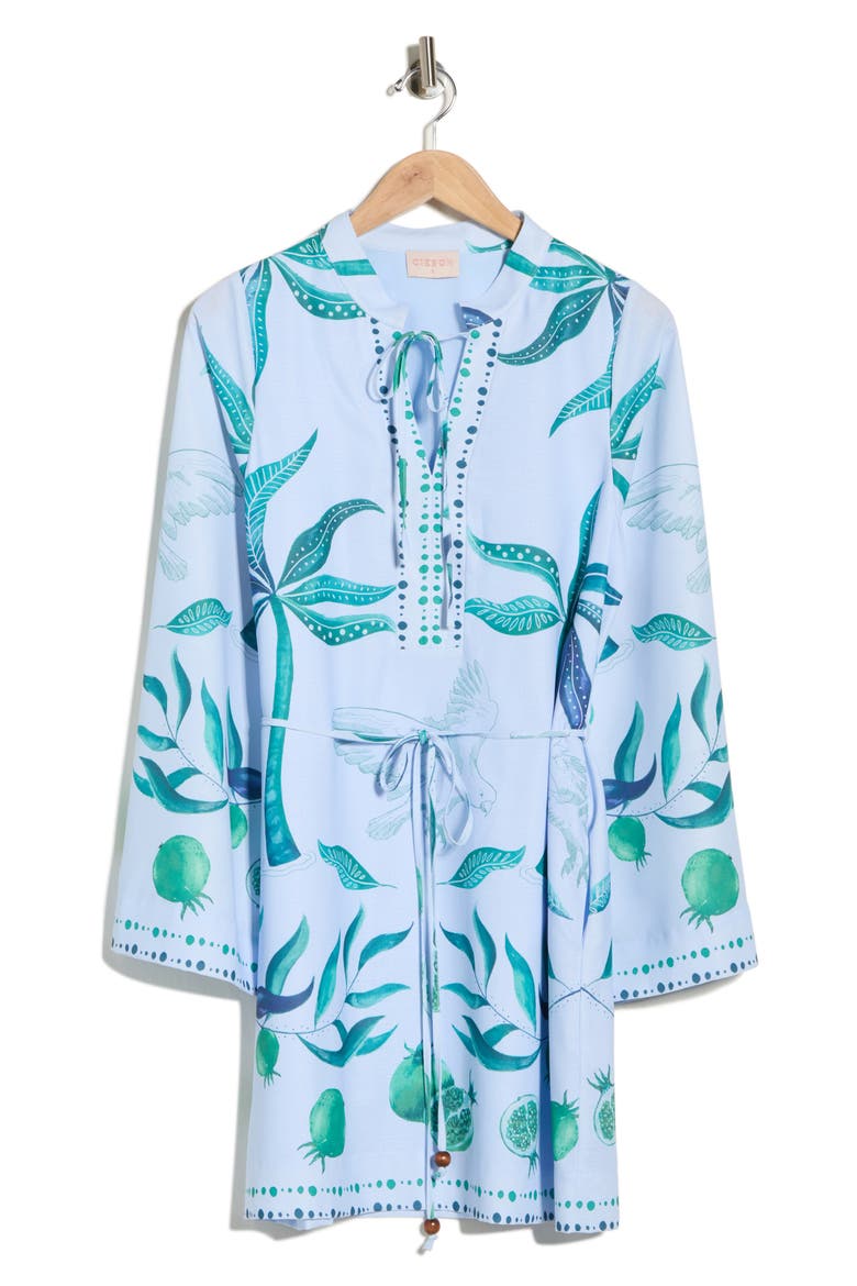 Mariam Print Long Sleeve Dress, Alternate, color, BLUE MULTI