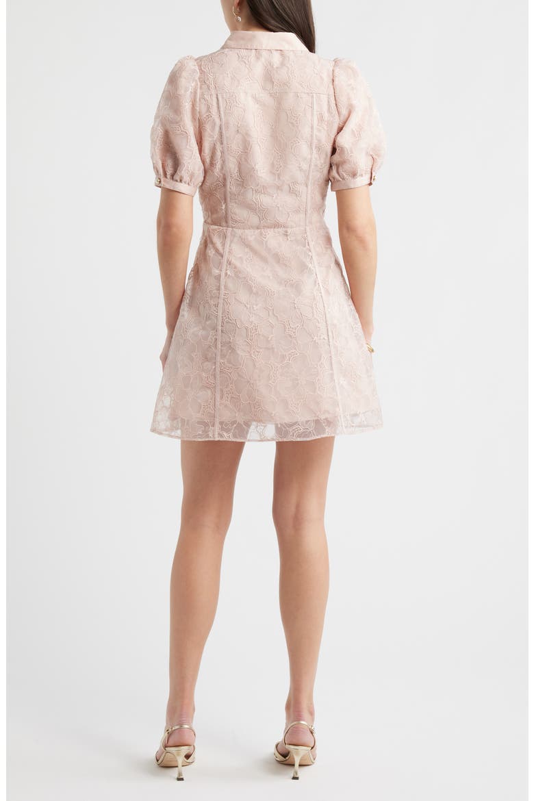 Floral Embroidered Puff Sleeve Minidress, Alternate, color, PINK SEPIA