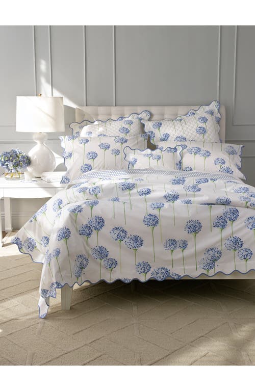 Matouk Floral Quilted Cotton Percale Sham In Azure