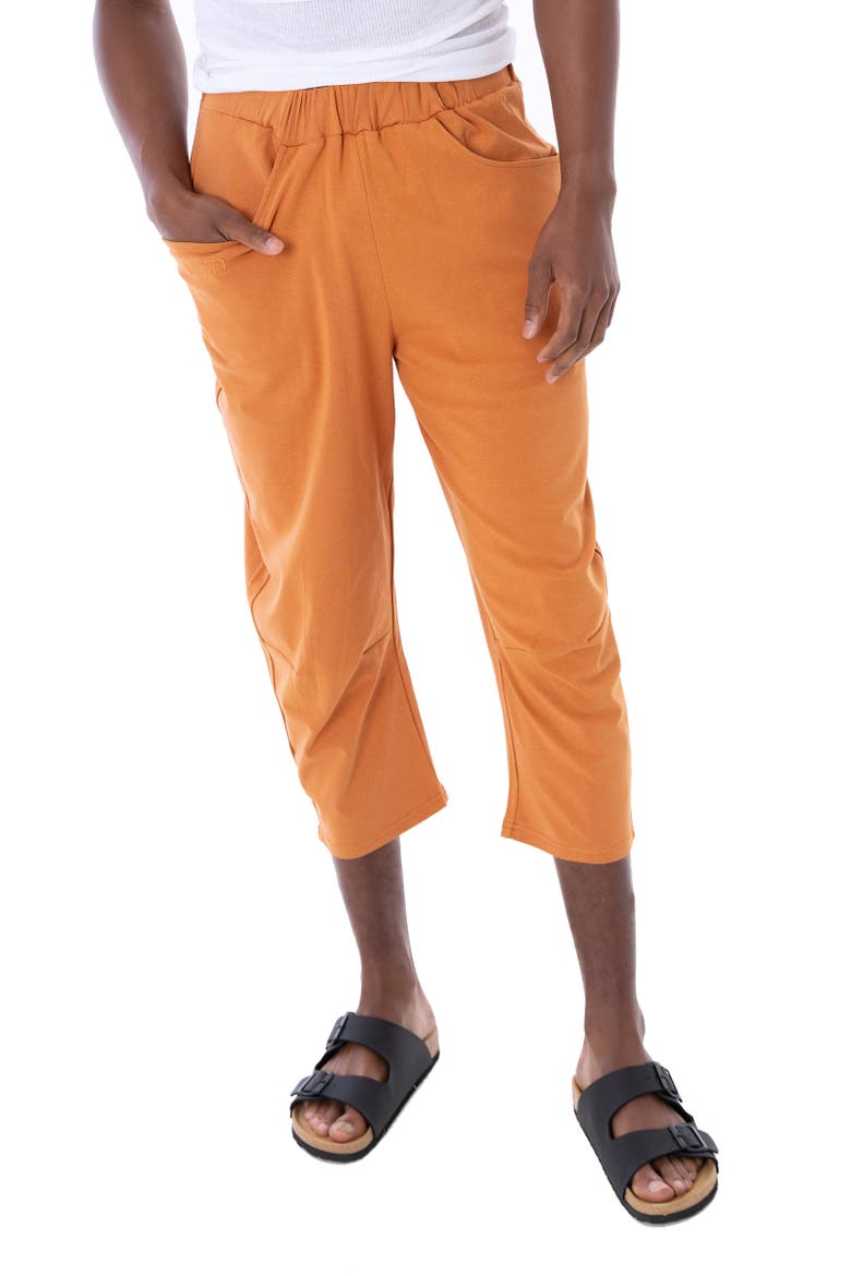 Tony Crop Leisure Pant, Main, color, Rust