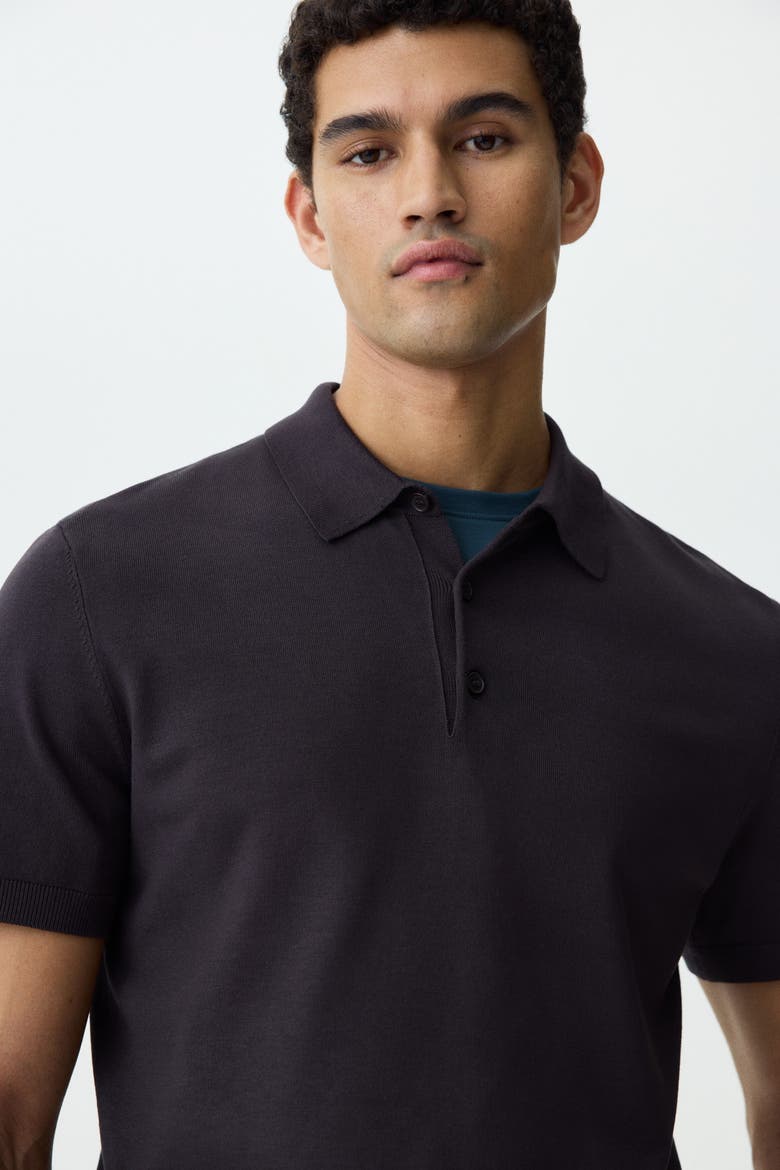 Regular Fit Polo Shirt, Alternate, color, Dark brown