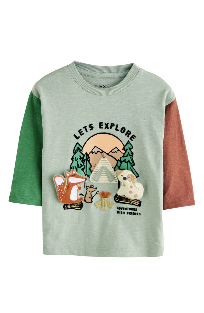 NEXT Kids' 3D Critter Baseball Sleeve T-Shirt, Main, color, Green