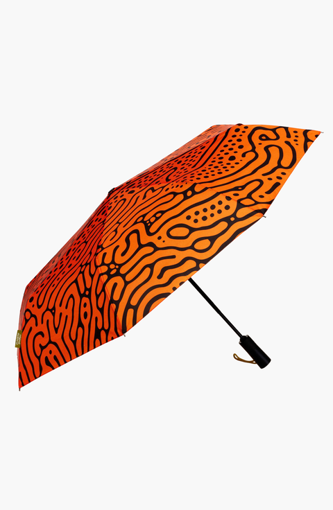Compact Umbrella with Automatic Open-Close Function