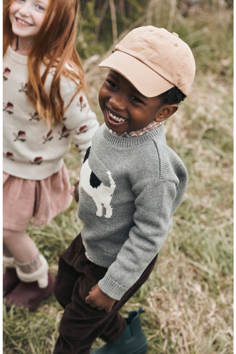 Kids' Organic Cotton Sweater, Alternate, color, LP GREY DOG