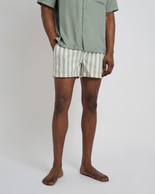 Onia Charles 4" Swim Trunk In Sage/cream