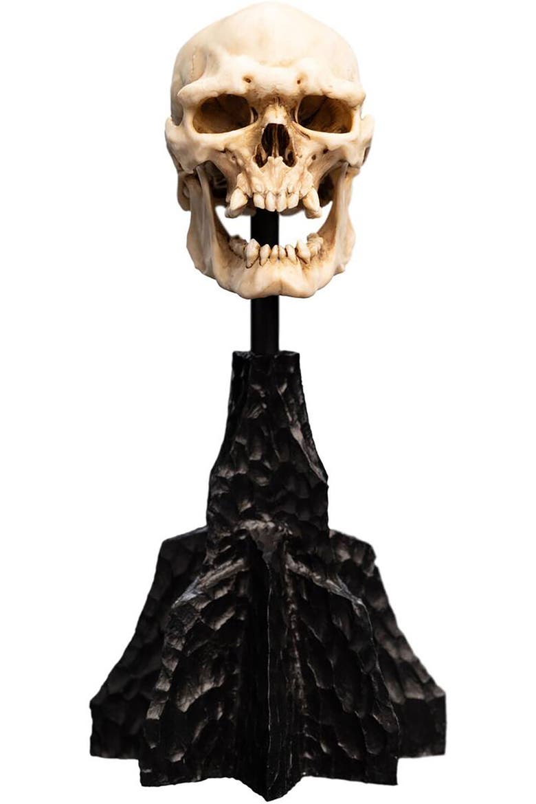Lotr Trilogy - Skull Of A Mordor Orc Miniature, Main, color, Multicolor