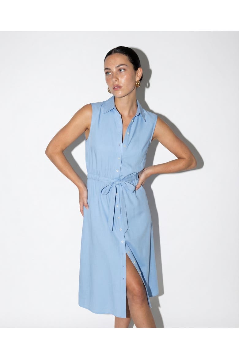 The Sleeveless Midi Dress, Alternate, color, Light Blue