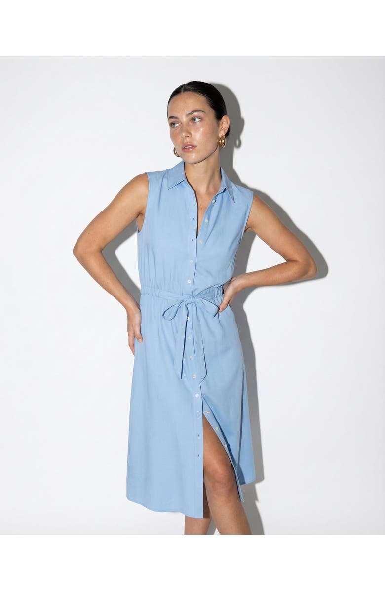 The Shirt by Rochelle Behrens The Sleeveless Midi Dress, Alternate, color, Light Blue