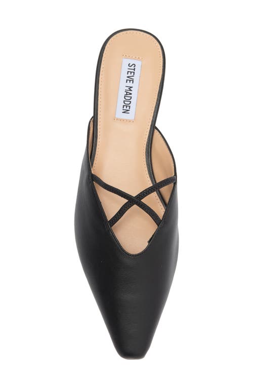 Steve Madden Pammie Mule In Black Leather