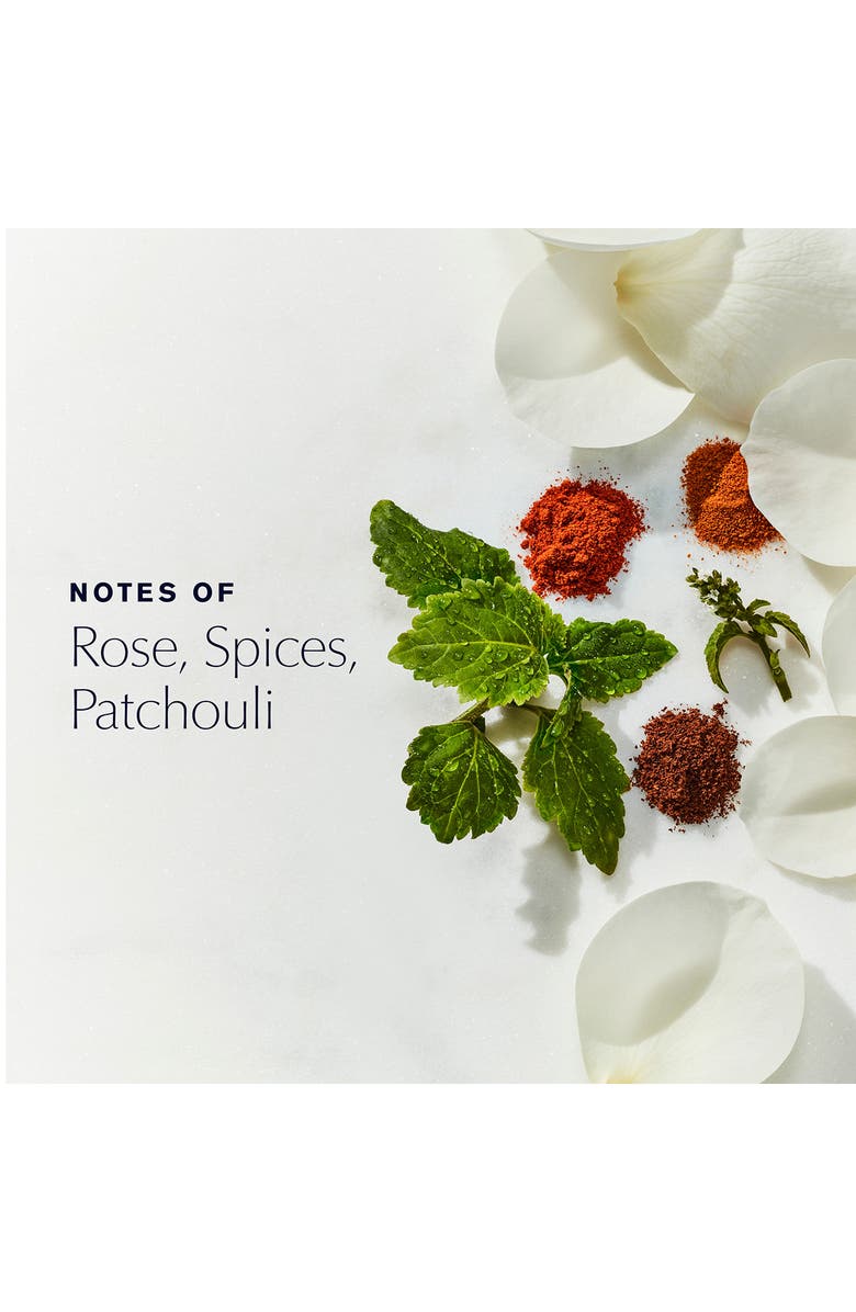 Estée Lauder Youth-Dew Roll-On Antiperspirant/Deodorant, Alternate, color, 