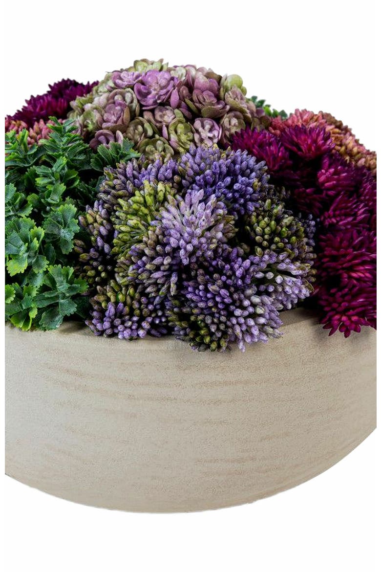 Georgina Sedum Arrangement, Alternate, color, Ash