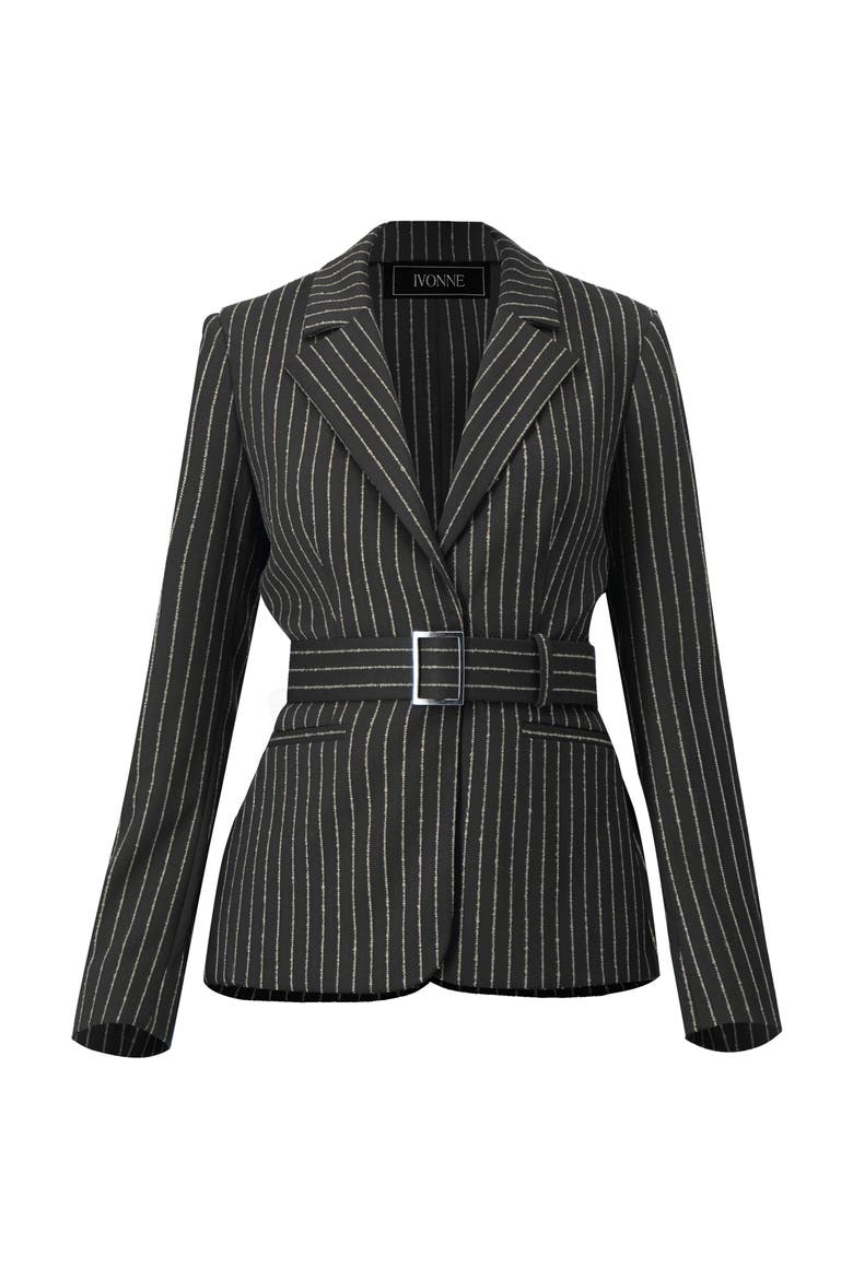 Striped Blazer With Belt, Alternate, color, Black