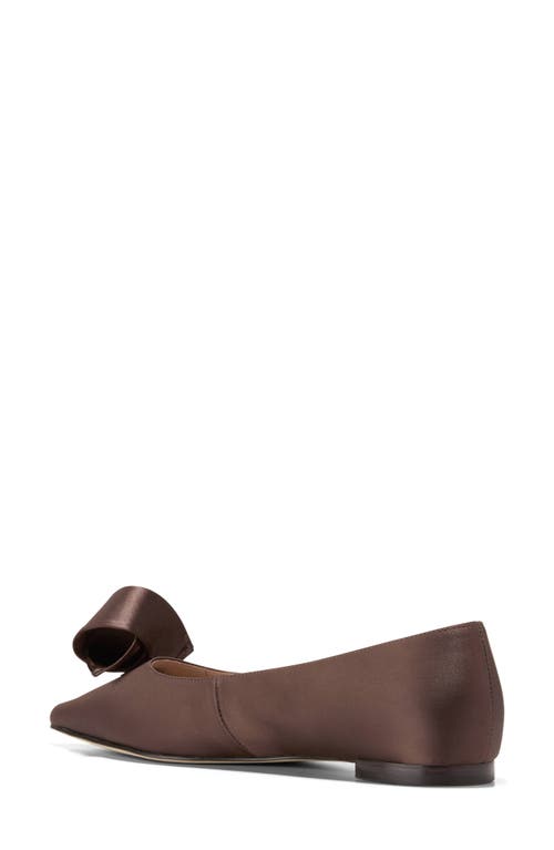 Cole Haan Florette Pointed Toe Skimmer Flat In Brown