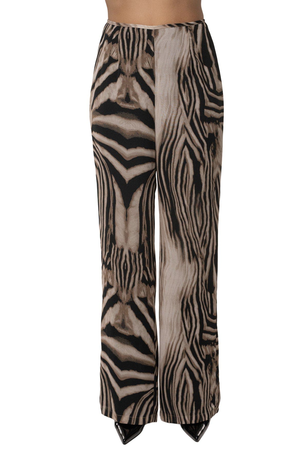 selected Brown Zebra