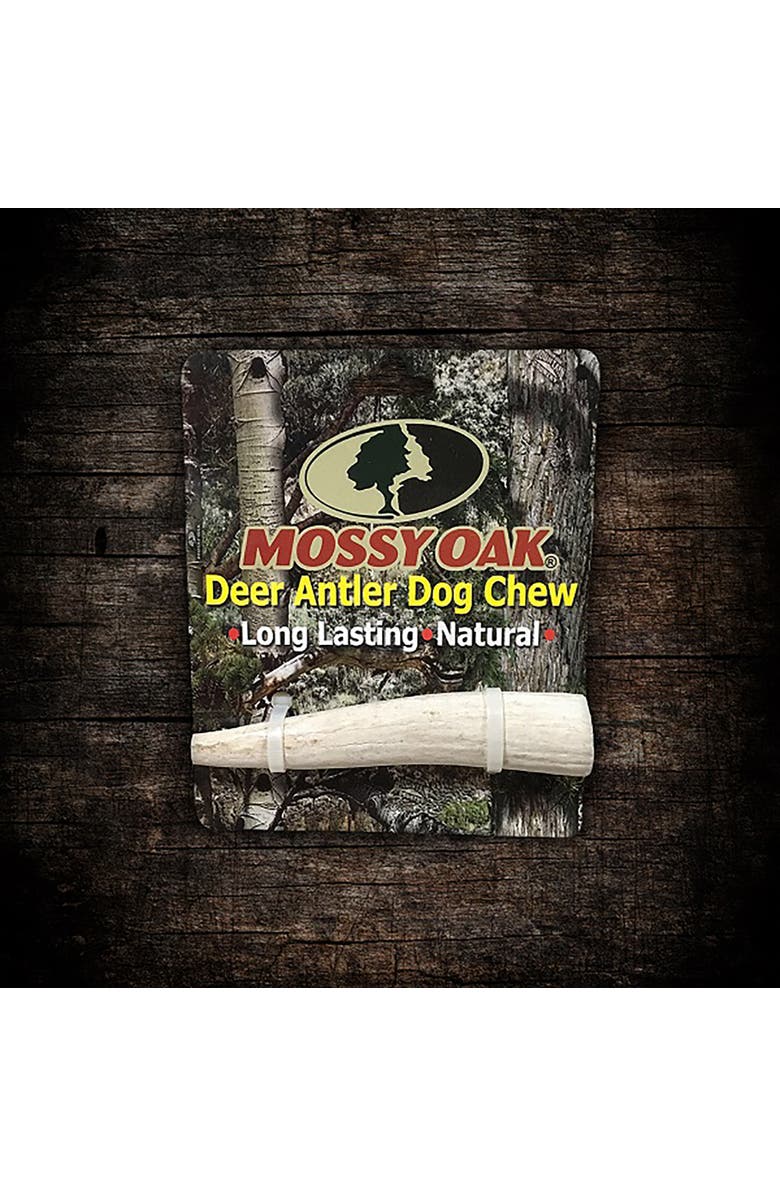 MOSSY OAK Deer Antler - Small - Dog Chew, Whole Piece, Long-Lasting Pet Treat, Alternate, color, Multicolored