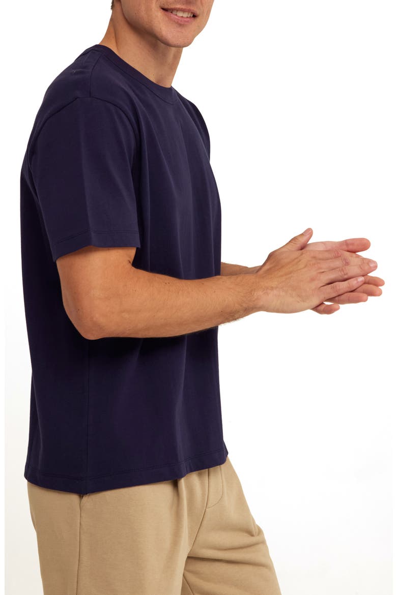 Johnny Relaxed Fit Cotton Jersey T-Shirt, Alternate, color, STARGAZER