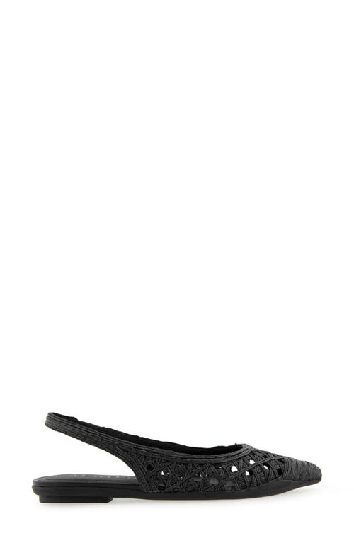 AEROSOLES AEROSOLES DIEGO SLINGBACK POINTED CAP TOE RAFFIA FLAT