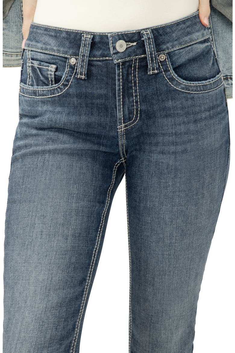 Suki Curvy Mid Rise Straight Leg Jeans, Alternate, color, HARGRAVE
